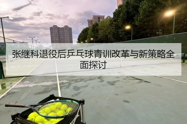 张继科退役后乒乓球青训改革与新策略全面探讨